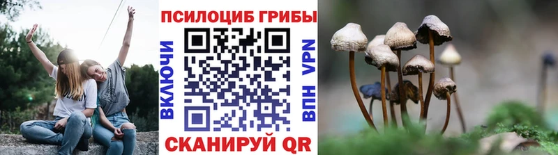 наркотики  Пятигорск  Псилоцибиновые грибы ЛСД 